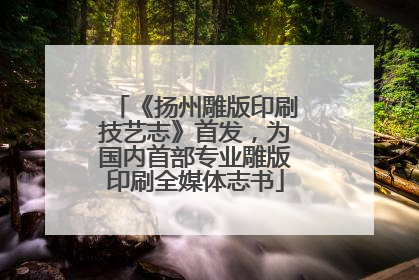 《扬州雕版印刷技艺志》首发，为国内首部专业雕版印刷全媒体志书