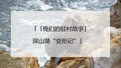 「俺们的驻村故事」深山坳“变形记”