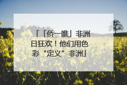 「侨一瞧」非洲日狂欢！他们用色彩“定义”非洲