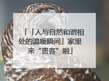 「人与自然和谐相处的温暖瞬间」家里来“贵客”啦
