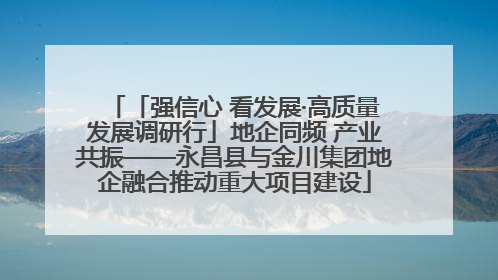 「强信心 看发展·高质量发展调研行」地企同频 产业共振——永昌县与金川集团地企融合推动重大项目建设