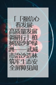 「强信心 看发展·高质量发展调研行」植树固沙护绿洲——武威市治沙造林筑牢生态安全屏障见闻