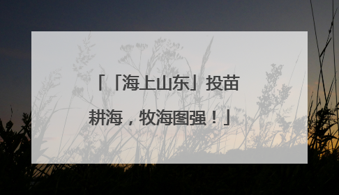 「海上山东」投苗耕海，牧海图强！
