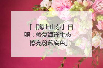 「海上山东」日照：修复海洋生态 擦亮蔚蓝底色