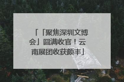 「聚焦深圳文博会」圆满收官！云南展团收获颇丰
