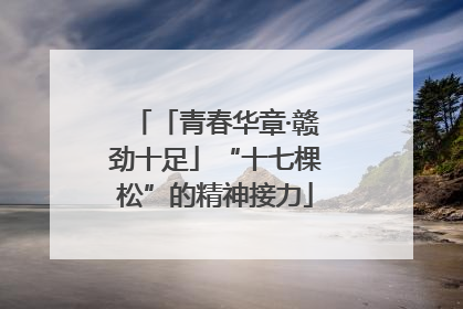 「青春华章·赣劲十足」“十七棵松”的精神接力