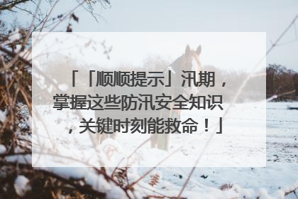 「顺顺提示」汛期，掌握这些防汛安全知识，关键时刻能救命！