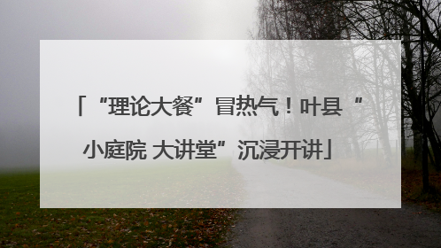 “理论大餐”冒热气！叶县“小庭院 大讲堂”沉浸开讲