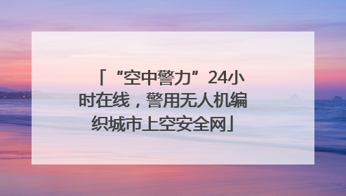 “空中警力”24小时在线，警用无人机编织城市上空安全网
