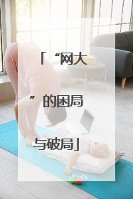“网大”的困局与破局