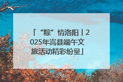 “粽”情洛阳丨2025年嵩县端午文旅活动精彩纷呈