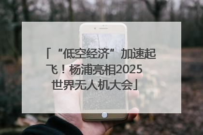 “低空经济”加速起飞！杨浦亮相2025世界无人机大会