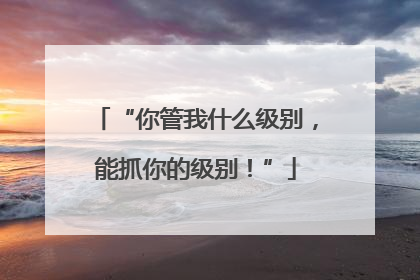 “你管我什么级别，能抓你的级别！”