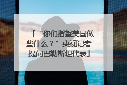 “你们指望美国做些什么？”央视记者提问巴勒斯坦代表