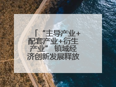 “主导产业+配套产业+衍生产业” 镇域经济创新发展释放强劲发展动能