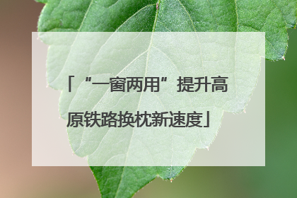 “一窗两用”提升高原铁路换枕新速度