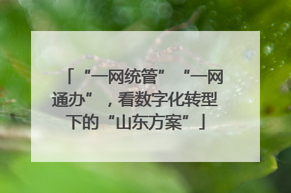 “一网统管”“一网通办”，看数字化转型下的“山东方案”