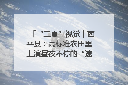 “三夏”视觉｜西平县：高标准农田里上演昼夜不停的“速度与激情”