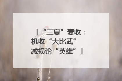 “三夏”麦收：机收“大比武” 减损论“英雄”