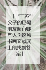 “三苏”父子的巴蜀朋友圈有哪些人？这场书画文献展上能找到答案