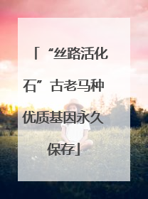 “丝路活化石”古老马种优质基因永久保存