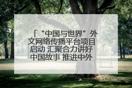 “中国与世界”外文网络传播平台项目启动 汇聚合力讲好中国故事 推进中外文明交流互鉴