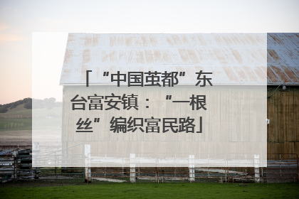 “中国茧都”东台富安镇：“一根丝”编织富民路