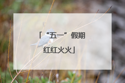 “五一”假期 红红火火