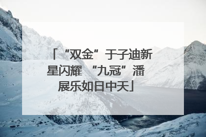“双金”于子迪新星闪耀 “九冠”潘展乐如日中天