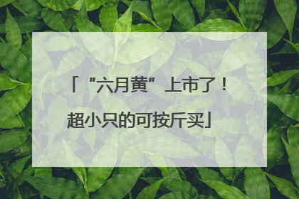 “六月黄”上市了！超小只的可按斤买