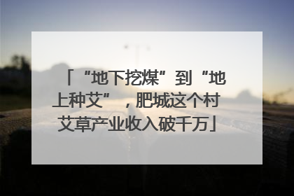 “地下挖煤”到“地上种艾”，肥城这个村艾草产业收入破千万