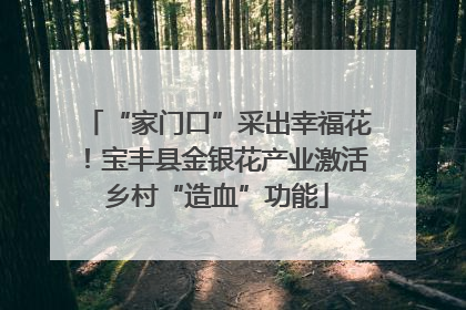 “家门口”采出幸福花！宝丰县金银花产业激活乡村“造血”功能