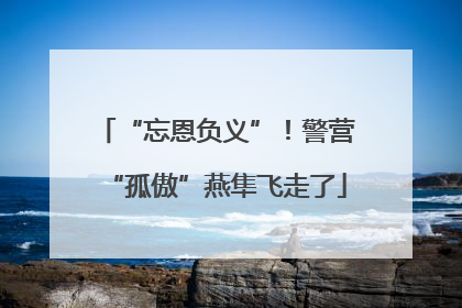“忘恩负义”！警营“孤傲”燕隼飞走了
