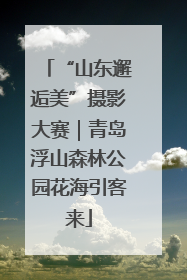 “山东邂逅美”摄影大赛｜青岛浮山森林公园花海引客来