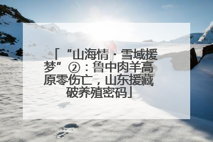 “山海情・雪域援梦”②：鲁中肉羊高原零伤亡，山东援藏破养殖密码
