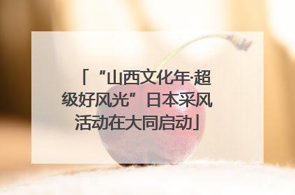 “山西文化年·超级好风光”日本采风活动在大同启动