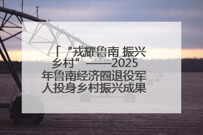 “戎耀鲁南 振兴乡村”——2025年鲁南经济圈退役军人投身乡村振兴成果展销会盛大启幕