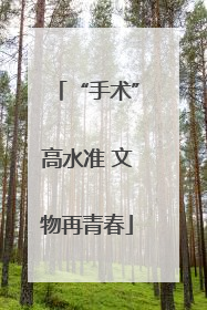 “手术”高水准 文物再青春