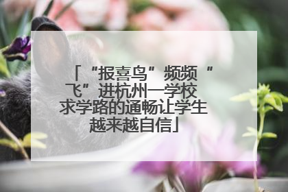 “报喜鸟”频频“飞”进杭州一学校 求学路的通畅让学生越来越自信