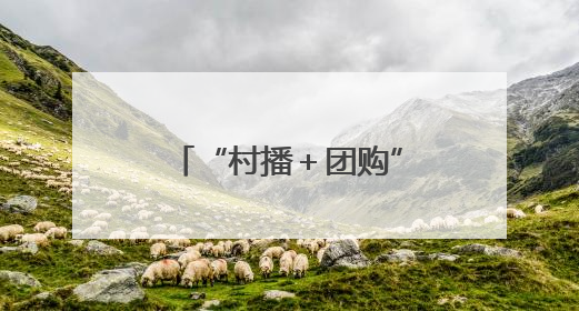 “村播＋团购”双引擎发力 带动10万农户增收