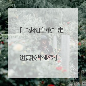 “枣阳皇桃”走进高校毕业季