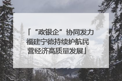 “政银企”协同发力 福建宁德持续护航民营经济高质量发展