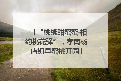 “桃缘甜蜜蜜·相约桃花驿”，孝南杨店镇早蜜桃开园