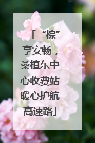 “棕”享安畅，桑植东中心收费站暖心护航高速路