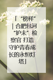 “榜样”｜合肥包河“护未”检察官 打造守护青春成长的永恒灯塔