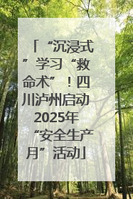 “沉浸式”学习“救命术”！四川泸州启动2025年“安全生产月”活动