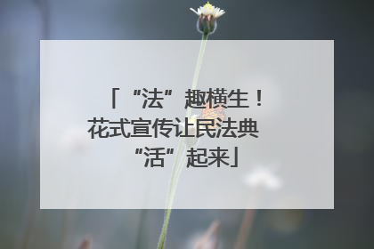 “法”趣横生！花式宣传让民法典“活”起来