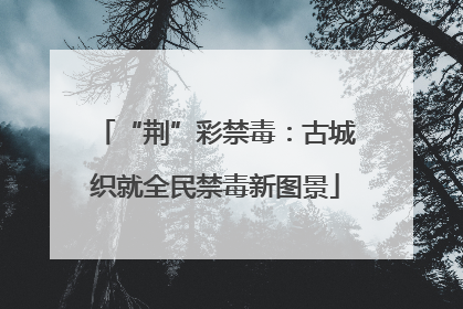 “荆”彩禁毒：古城织就全民禁毒新图景
