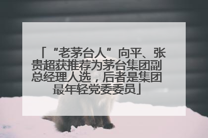 “老茅台人”向平、张贵超获推荐为茅台集团副总经理人选，后者是集团最年轻党委委员