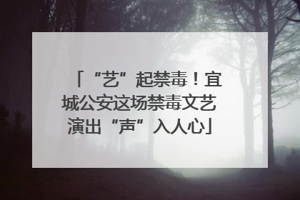 “艺”起禁毒！宜城公安这场禁毒文艺演出“声”入人心